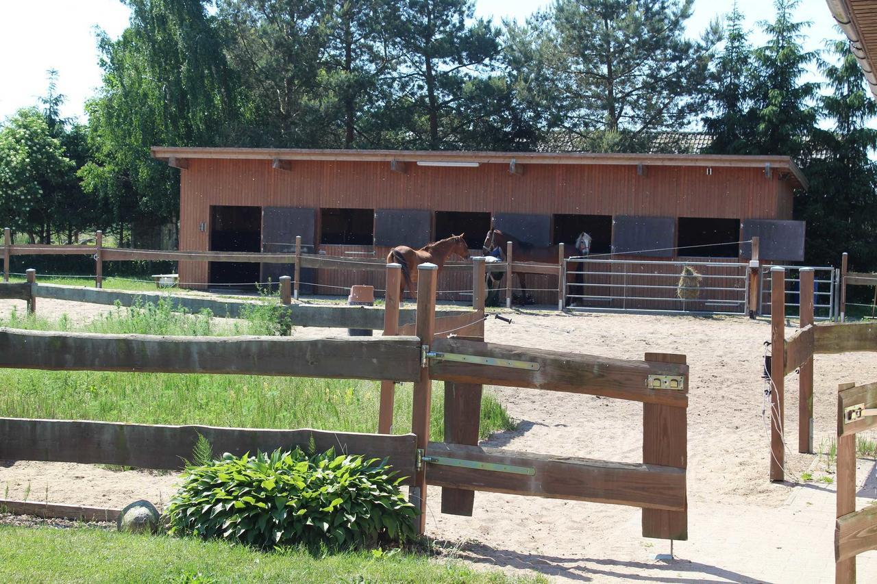 Landhaus Peene Sophienhof エクステリア 写真